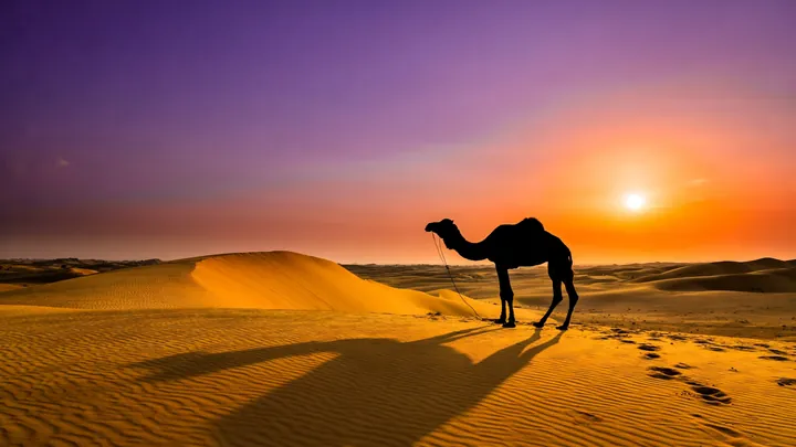 Jaisalmer Fort - Travel Destination